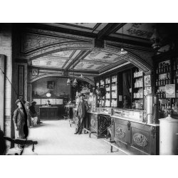 Den grnselse profession. Danske farmaceuter 1840-1923