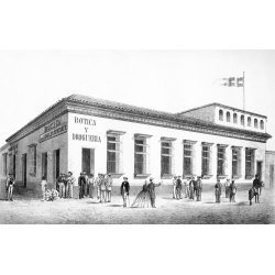 Den grnselse profession. Danske farmaceuter 1840-1923