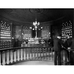 Den grnselse profession. Danske farmaceuter 1840-1923