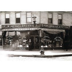 Den grnselse profession. Danske farmaceuter 1840-1923