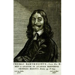 Anatomihuset i K�benhavn 