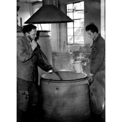 Dansk Medicin  Historien om de danske medicinfabrikker